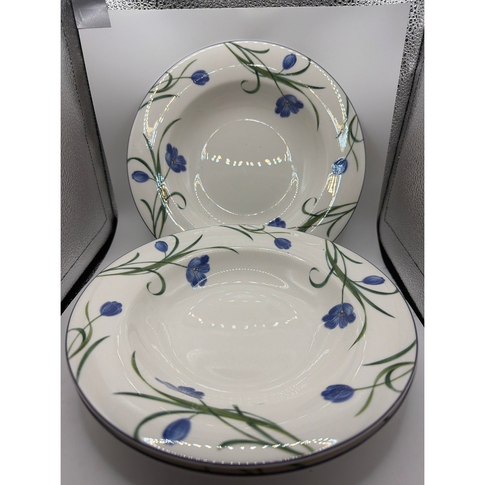 3 Mikasa Garden Poetry Y4005 Casual Classics Rimmed Soup Bowls 9.25"